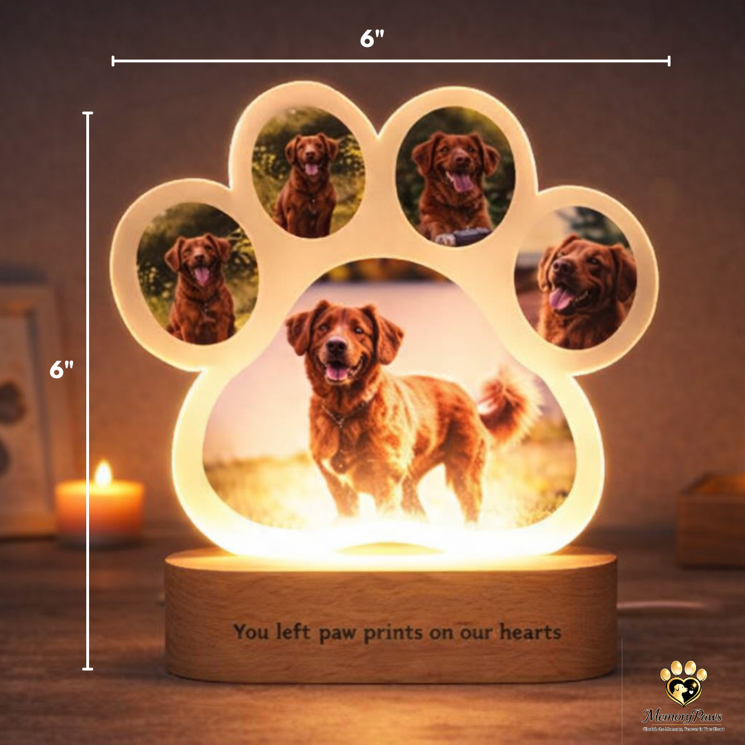 MemoryPaws™ Personalized Pet Lamp